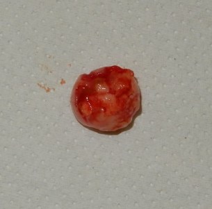 20180424_Di Carlo (6)